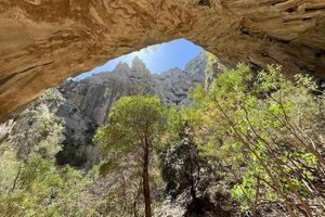 Dorgali: Patikointiretki Gorropun kanjonissa, maastokuljetus ja lounas