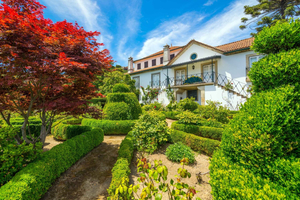 Douro-dalen: Quinta Santa Júlia-tur, vinprøve og frokost