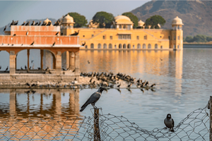 From Delhi - 3-Day Trip to Agra, Fatehpur Sikri and Jaipur