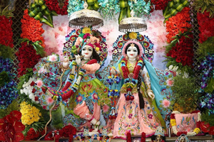 Da Tour privato di 1 giorno di Mathura e Vrindavan in auto