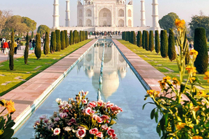 From Delhi : Sunrise Taj Mahal Tour With 5 Star Meal By Car