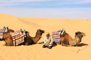 Fra Djerba: Heldagstur til Ksar Ghilane, Sahara og oaser