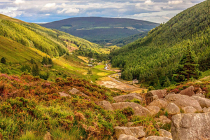 Dublinista: Wild Wicklow Mountains and Glendalough Tour