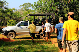 Da Ella: safari a Udawalawa e rientro a Tangalle/Mirissa/Galle