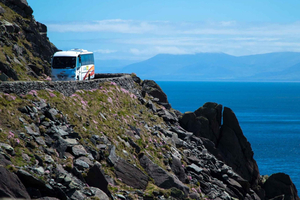Da Killarney: tour di 1 giorno alla penisola di Dingle e Capo Slea
