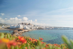 Fra Naxos: Delos og Mykonos heldagsudflugt