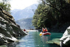 Fra Queenstown: Dart River Canoe & Jet Boat Day Trip