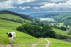 From York: Herriot and Yorkshire Dales Day Trip