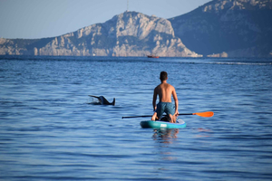 Golfo de Aranci: Passeio de SUP Ético – Golfinhos, Snorkel e Fotos