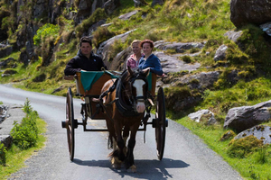 Bådtur til Gap of Dunloe og Killarneys søer