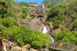 Goa: Tour della cascata di Dudhsagar e della fattoria delle spezie con safari in jeep