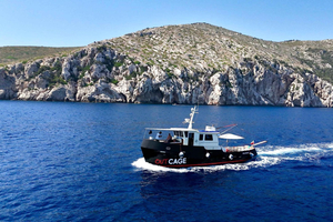 Golfo Aranci: crociera di 3 ore con delfini e aperitivo su yacht storico