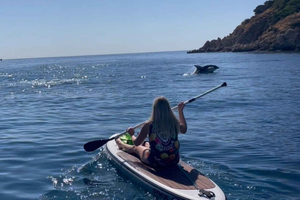 Golfo Aranci tour SUP Paddleboard Observação de golfinhos, aperitivo