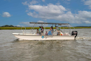 Hilton Head: Eco tour dei delfini con guida naturalistica