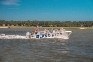 Hilton Head Island: crociera con i delfini e tour naturalistico