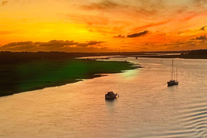Hilton Head Island: Sunset Dolphin Watching Tour