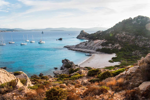 La Maddalena: afternoon snorkeling tour from Porto Pollo