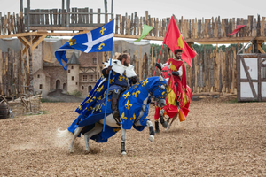 Le leggende di un tempo I spettacolo di cavalieri a 20 minuti da La Rochelle