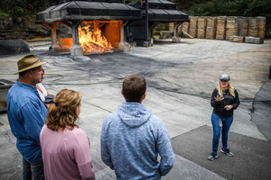 Nashville: Jack Daniel Distillery dagsutflykt med provsmakningar