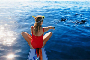 Tour de aventura al amanecer con delfines en la costa norte