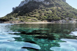 Olbia: Tour avvistamento delfini e snorkeling all'isola di Figarolo