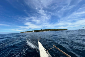 Pamilacan island: Dolphins, snorkel, lunch and walking tour