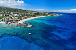 Réunion: Delfin- og hvalutflukt til Saint-Gilles