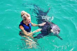 Saint Thomas: nada con delfines en Coral World Ocean Park