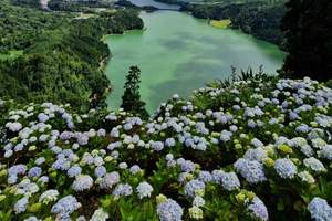 São Miguel: Sete Cidades i Lagoa do Fogo – wycieczka z lunchem
