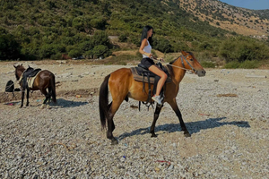 Saranda: tours a caballo