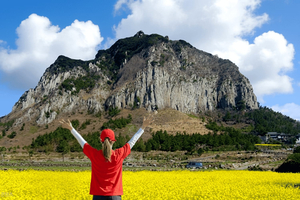 Il meglio del sud-ovest di Jeju: Hallasan e attrazioni UNESCO