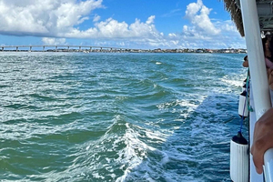 St. Augustine Beach: rejs widokowy z obserwacją delfinów