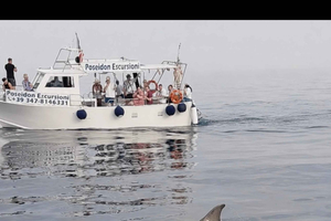Taormina Giardini Naxos: avistamiento de delfines HQWW® con apericena