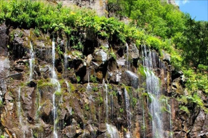 Tbilisi: Tur till Didgori, Dashbashi Canyon och Asureti