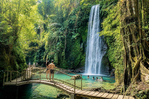 Ubud Tour with Optional English, Spanish and Italian Guide