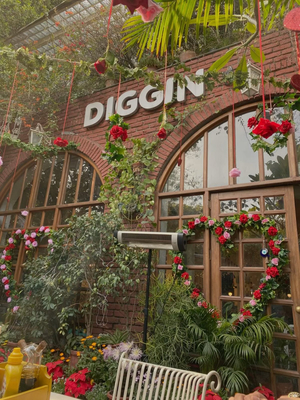 Diggin Cafe