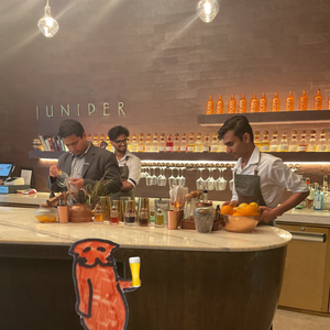 Juniper Bar - Andaz Delhi