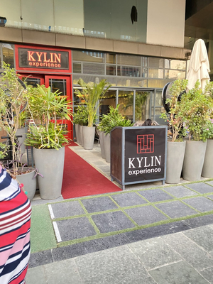 Kylin Experience