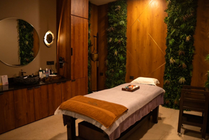 The Escape Spa and Wellness Experience-Sultanpur MG ROAD DELHI