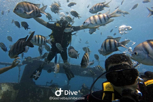 Bayahibe: Go Dive Bayahibe: Sukelluksen aloittaminen.