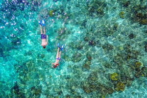 Bayahibe: Snorkeltour - Zee, Cotubanama park & Cenoten