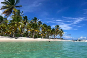 Fra Punta Cana: Tur til Saona-øya med tre strender og en landsby