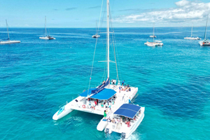Fra Santo Domingo: Dagstur til Isla Saona med katamarantur