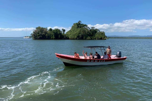 Los Haitises: Excursión en Kayak, Senderismo y Espeleología con Comida