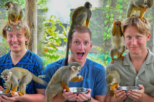 Excursión a Monkey Land ¡más 3 opciones de tour diferentes para elegir!