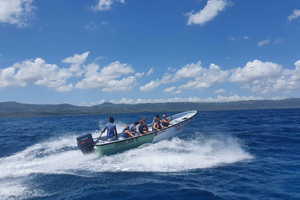 Paradise Island Private Tour, Snorkeling & Manatee Sanctuary