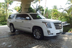 Førsteklasses privat VIP-transport i Punta Cana