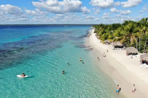 Privado: mergulho com snorkel na Ilha Catalina, saindo de Bayahibe