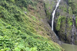 Private: Salto de La Jalda Hike & Horseback Ride