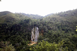 Passeio privado: Baía de Samaná, El Limón e Cayo Levantado